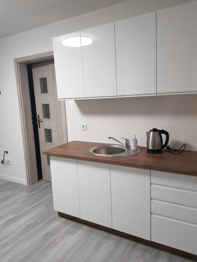 מידז'יוודז'י Apartamenty U Tatiany מראה חיצוני תמונה
