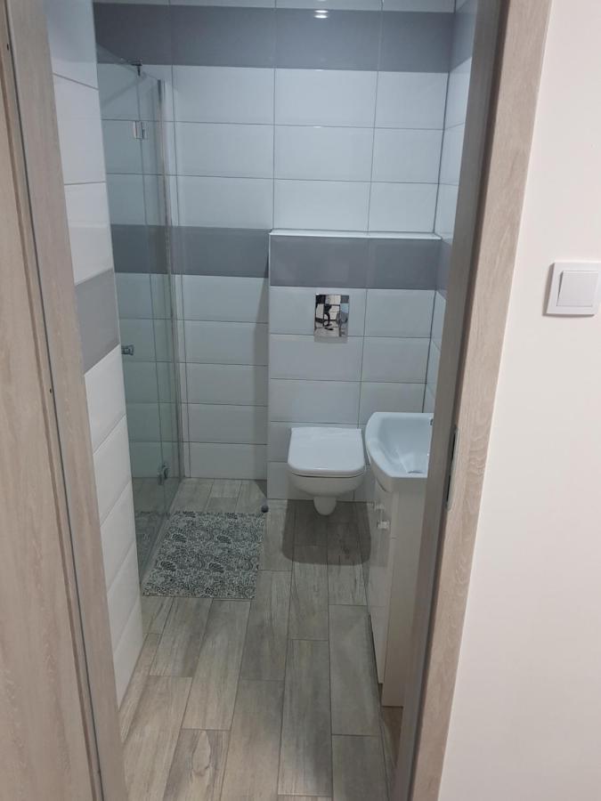 מידז'יוודז'י Apartamenty U Tatiany מראה חיצוני תמונה